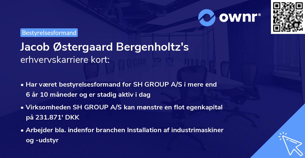 Jacob Østergaard Bergenholtz's erhvervskarriere kort