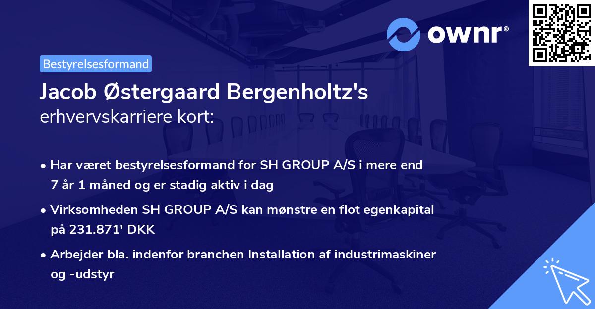 Jacob Østergaard Bergenholtz's erhvervskarriere kort