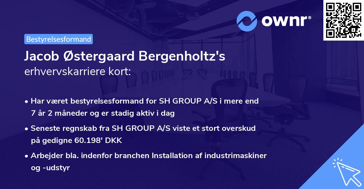 Jacob Østergaard Bergenholtz's erhvervskarriere kort