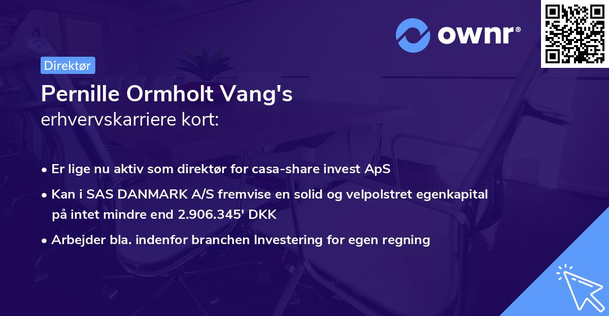Pernille Ormholt Vang's erhvervskarriere kort