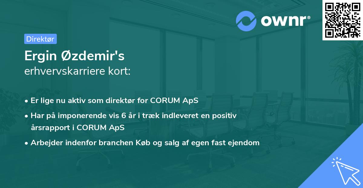 Ergin Øzdemir's erhvervskarriere kort