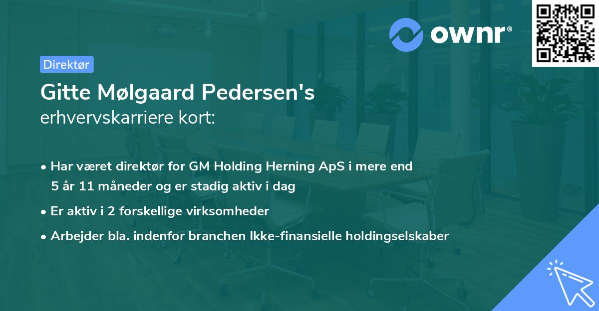 Gitte Mølgaard Pedersen's erhvervskarriere kort