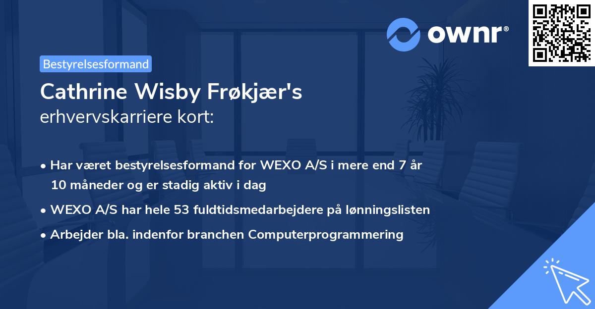 Cathrine Wisby Frøkjær's erhvervskarriere kort