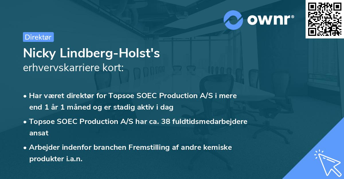 Nicky Lindberg-Holst's erhvervskarriere kort