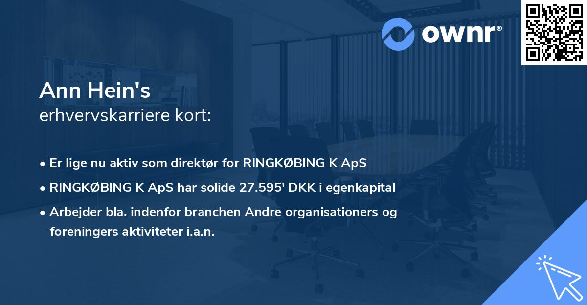 Ann Hein's erhvervskarriere kort