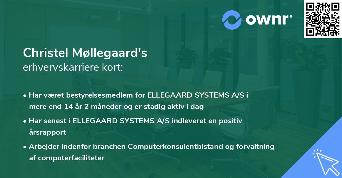 Christel Møllegaard's erhvervskarriere kort