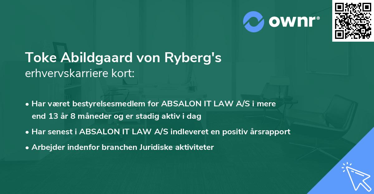 Toke Abildgaard von Ryberg's erhvervskarriere kort