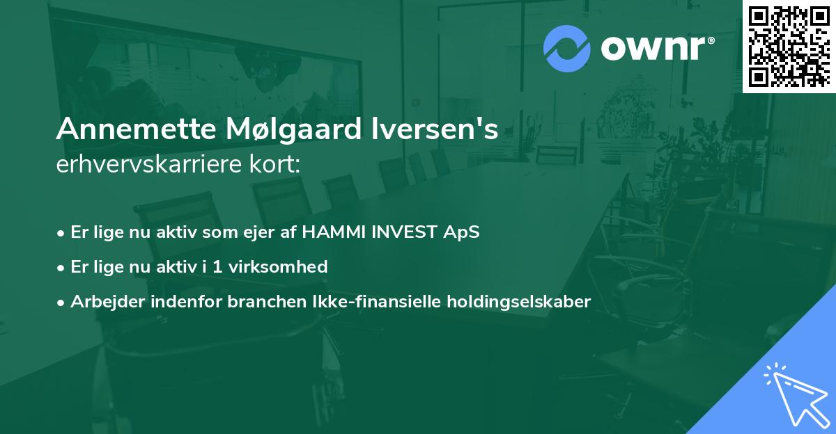 Annemette Mølgaard Iversen's erhvervskarriere kort
