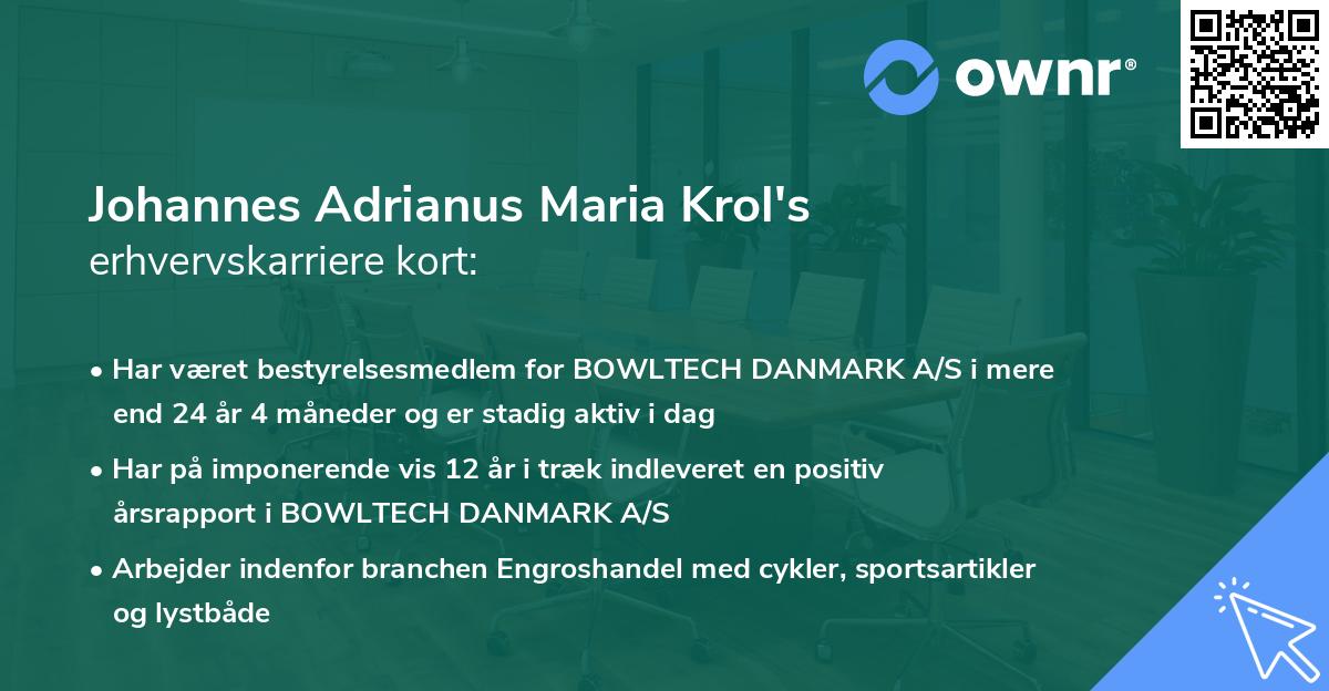 Johannes Adrianus Maria Krol's erhvervskarriere kort