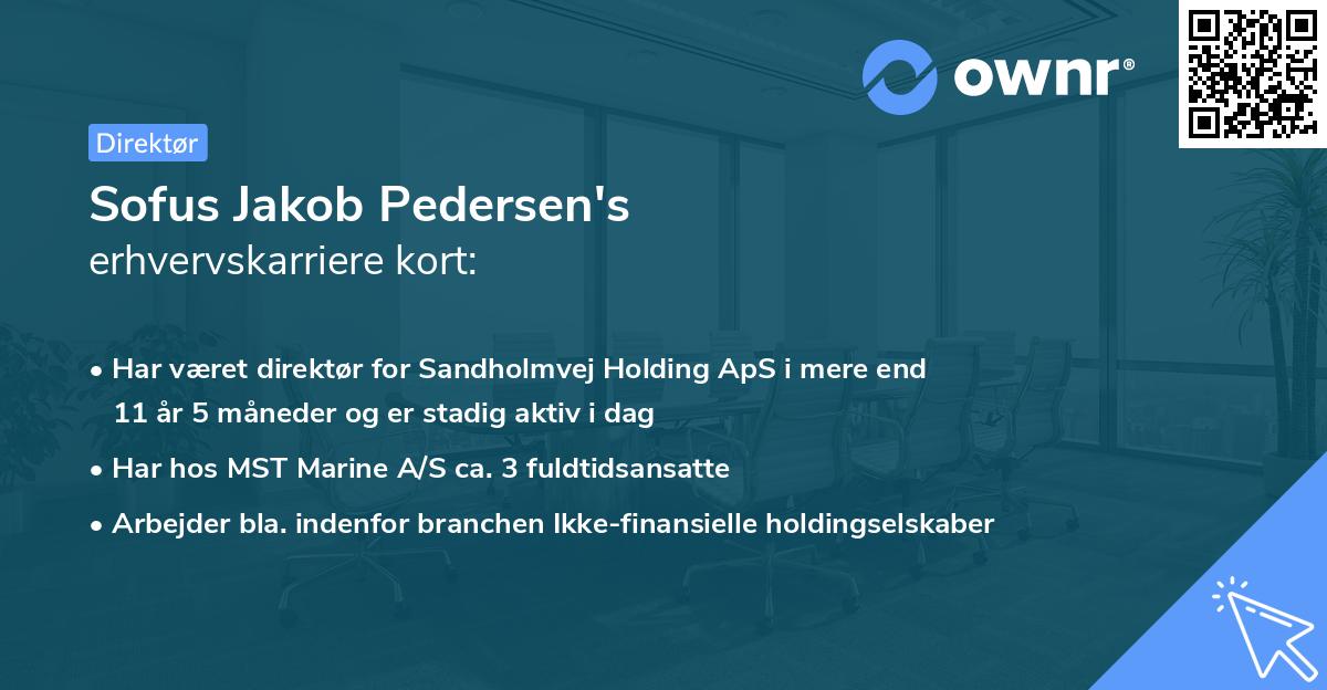 Sofus Jakob Pedersen's erhvervskarriere kort