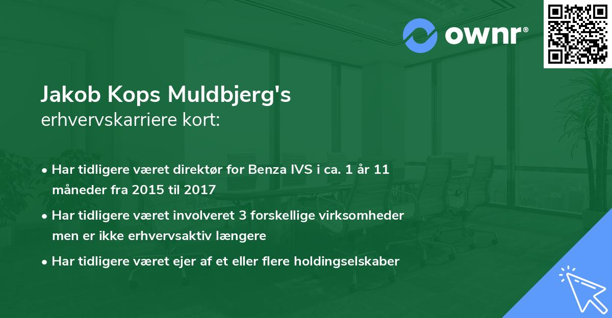 Jakob Kops Muldbjerg's erhvervskarriere kort