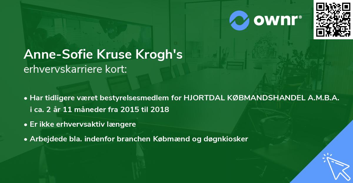 Anne-Sofie Kruse Krogh's erhvervskarriere kort