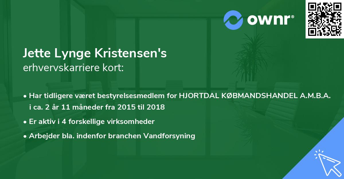 Jette Lynge Kristensen's erhvervskarriere kort