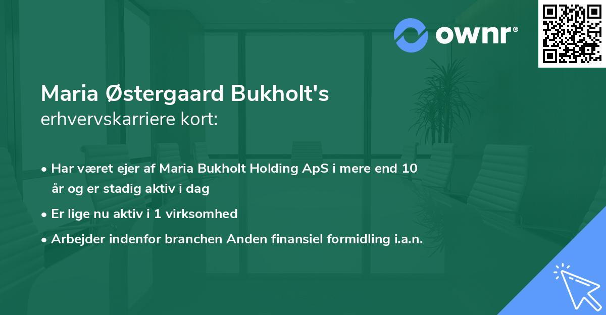 Maria Østergaard Bukholt's erhvervskarriere kort