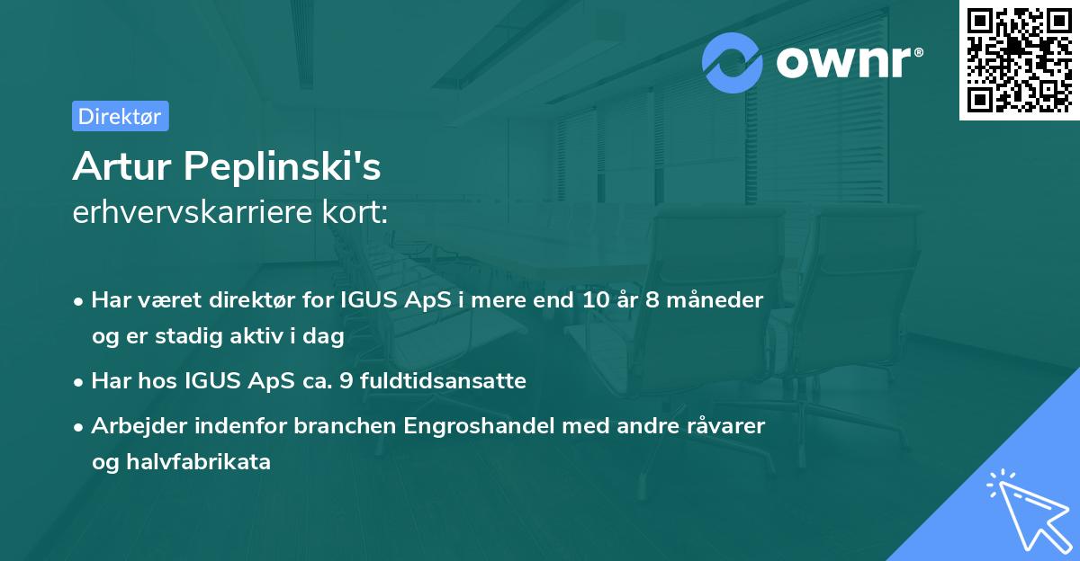 Artur Peplinski's erhvervskarriere kort