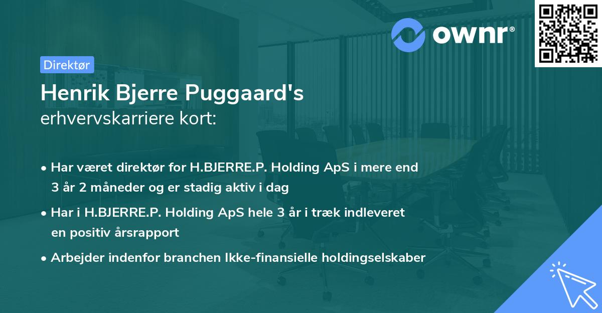 Henrik Bjerre Puggaard's erhvervskarriere kort