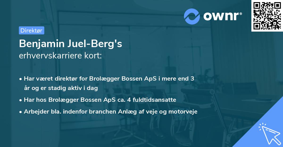 Benjamin Juel-Berg's erhvervskarriere kort
