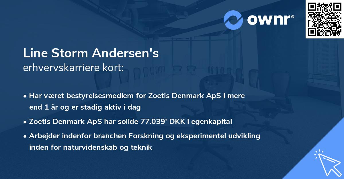 Line Storm Andersen's erhvervskarriere kort