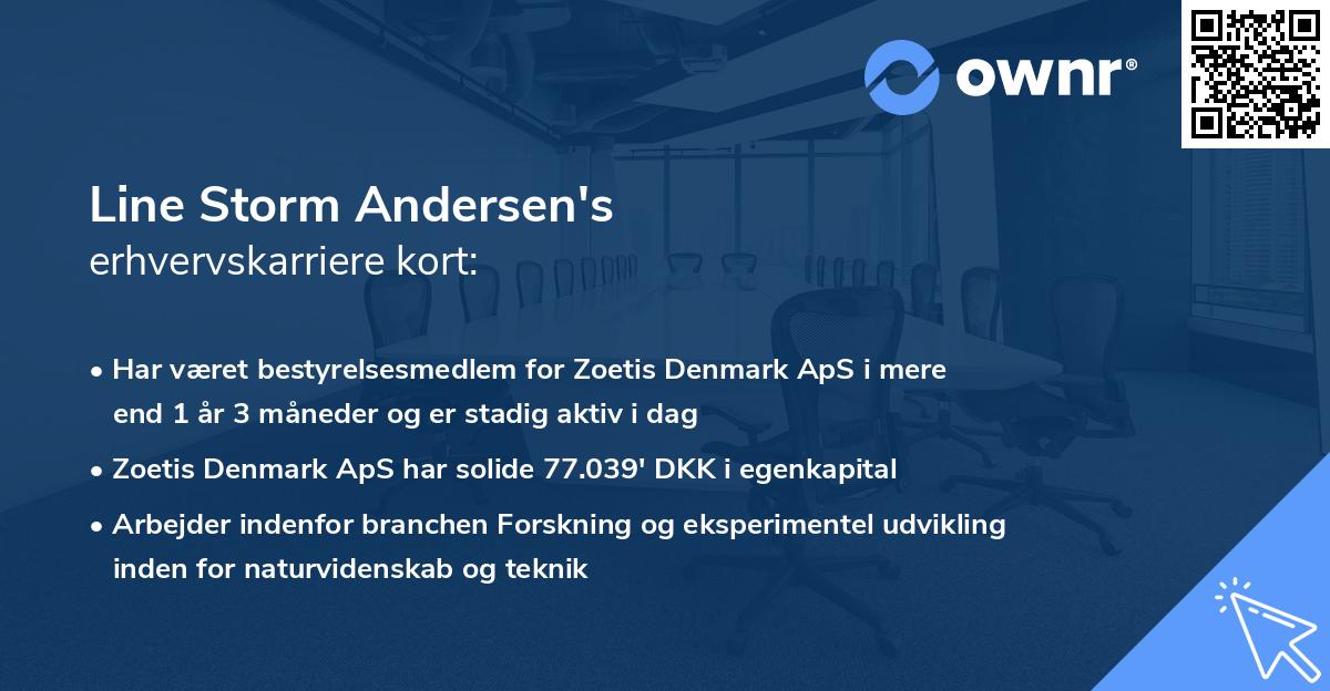 Line Storm Andersen's erhvervskarriere kort