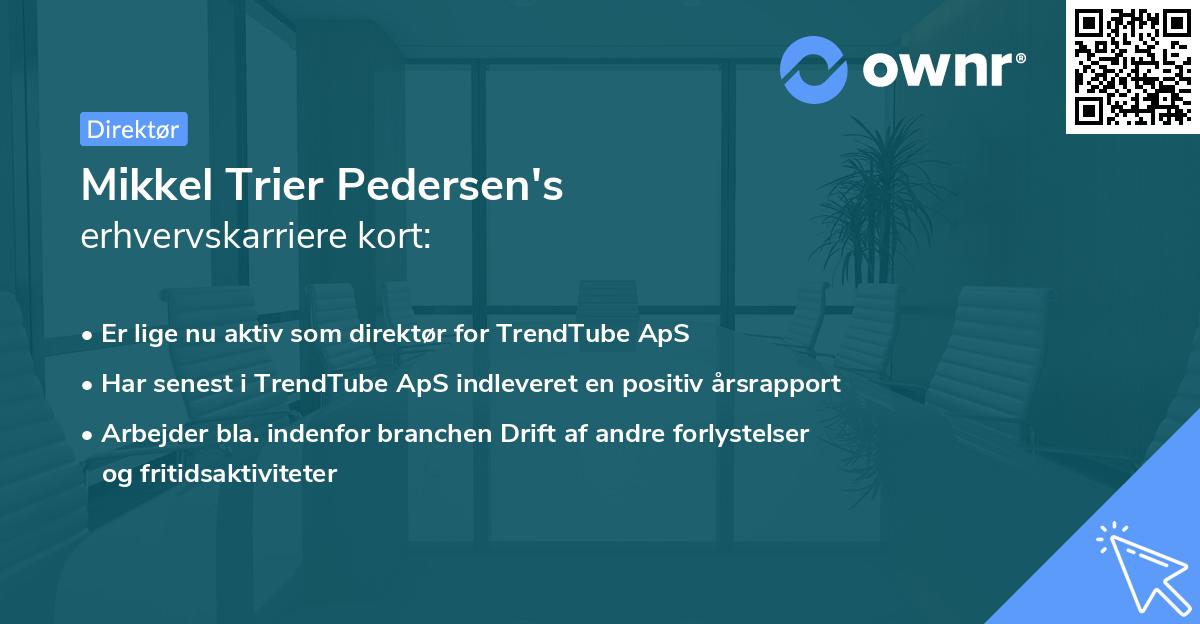 Mikkel Trier Pedersen's erhvervskarriere kort