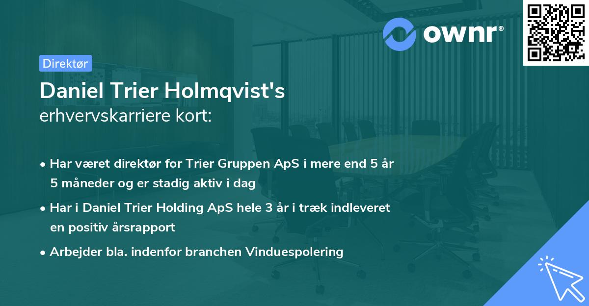 Daniel Trier Holmqvist's erhvervskarriere kort
