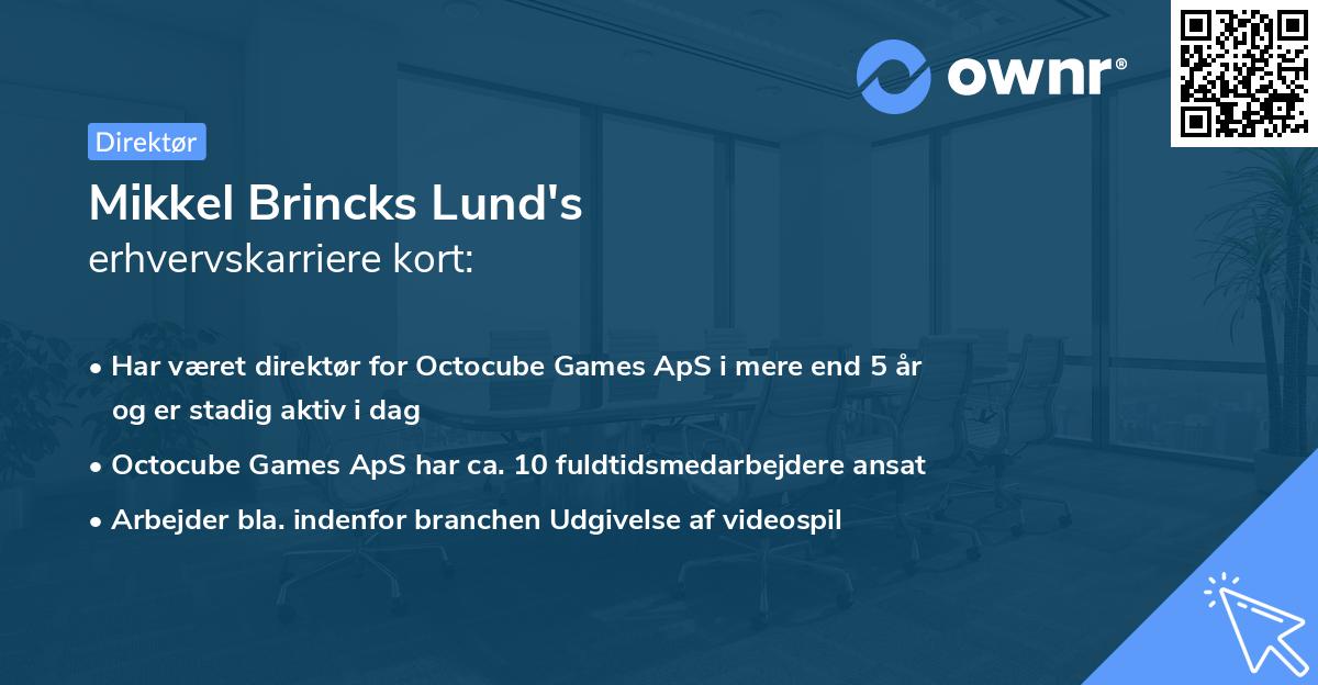 Mikkel Brincks Lund's erhvervskarriere kort