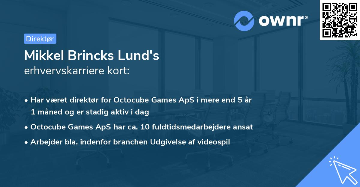 Mikkel Brincks Lund's erhvervskarriere kort