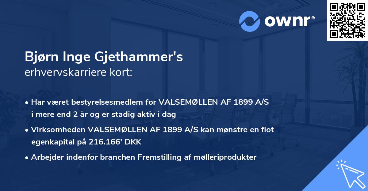 Bjørn Inge Gjethammer's erhvervskarriere kort