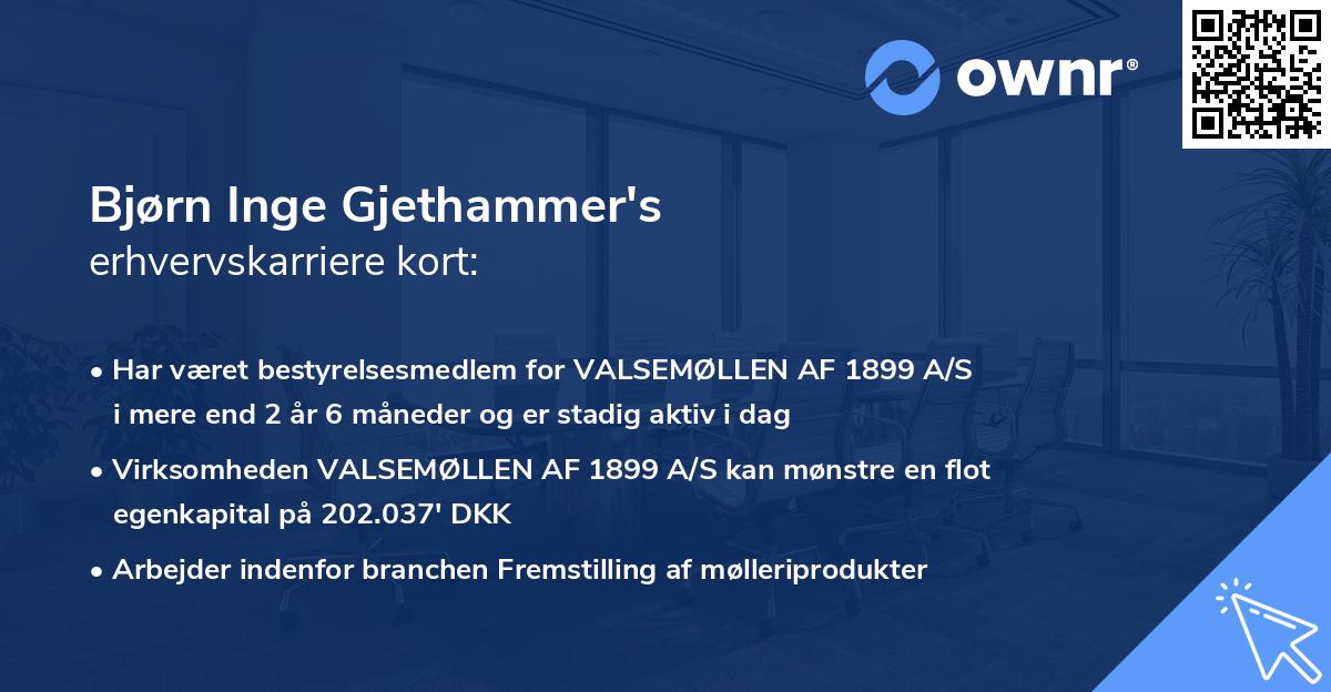 Bjørn Inge Gjethammer's erhvervskarriere kort