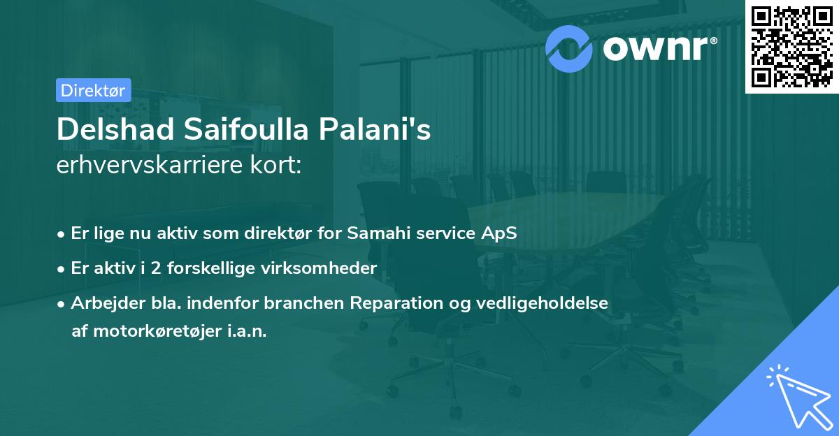 Delshad Saifoulla Palani's erhvervskarriere kort
