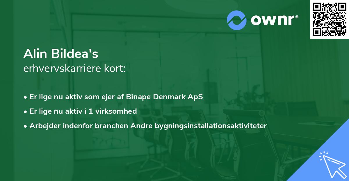 Alin Bildea's erhvervskarriere kort