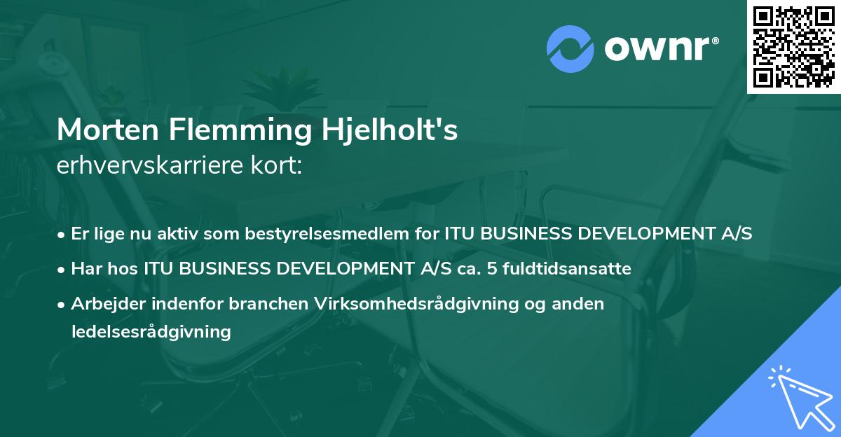 Morten Flemming Hjelholt's erhvervskarriere kort