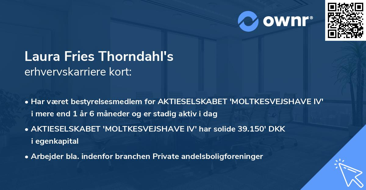 Laura Fries Thorndahl's erhvervskarriere kort