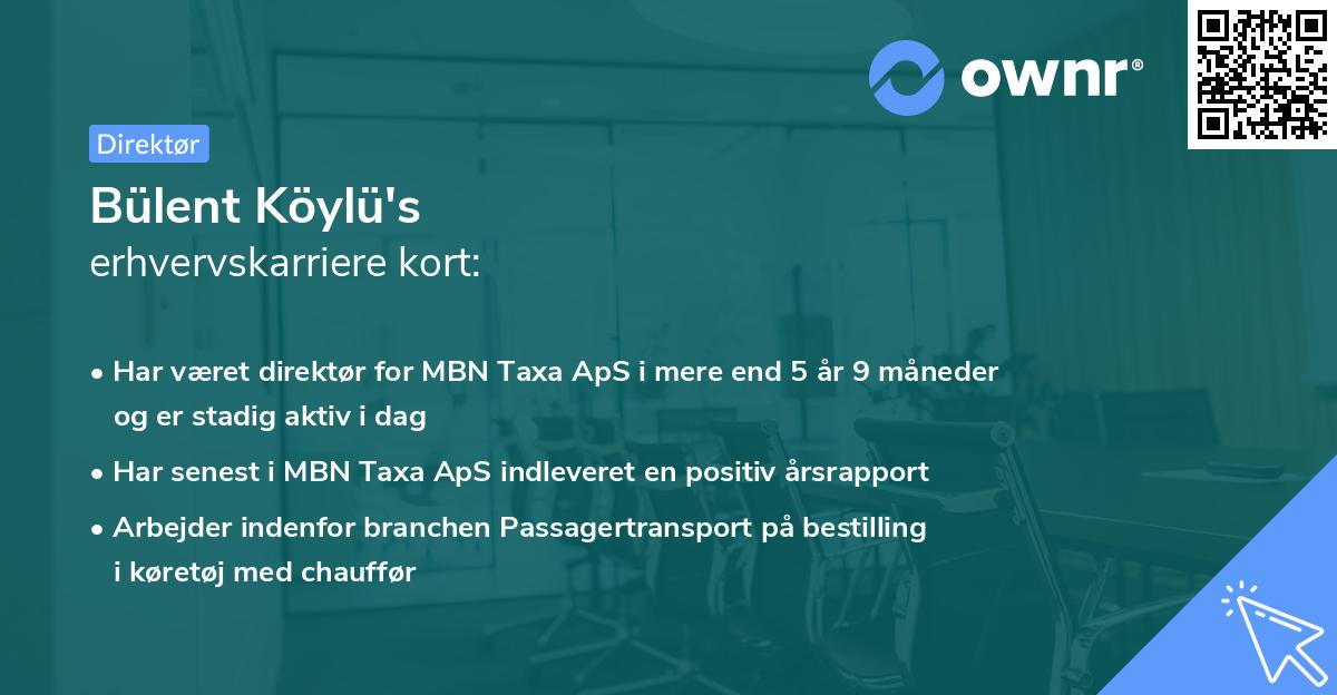 Bülent Köylü's erhvervskarriere kort