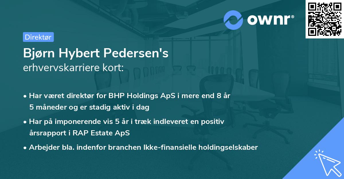 Bjørn Hybert Pedersen's erhvervskarriere kort