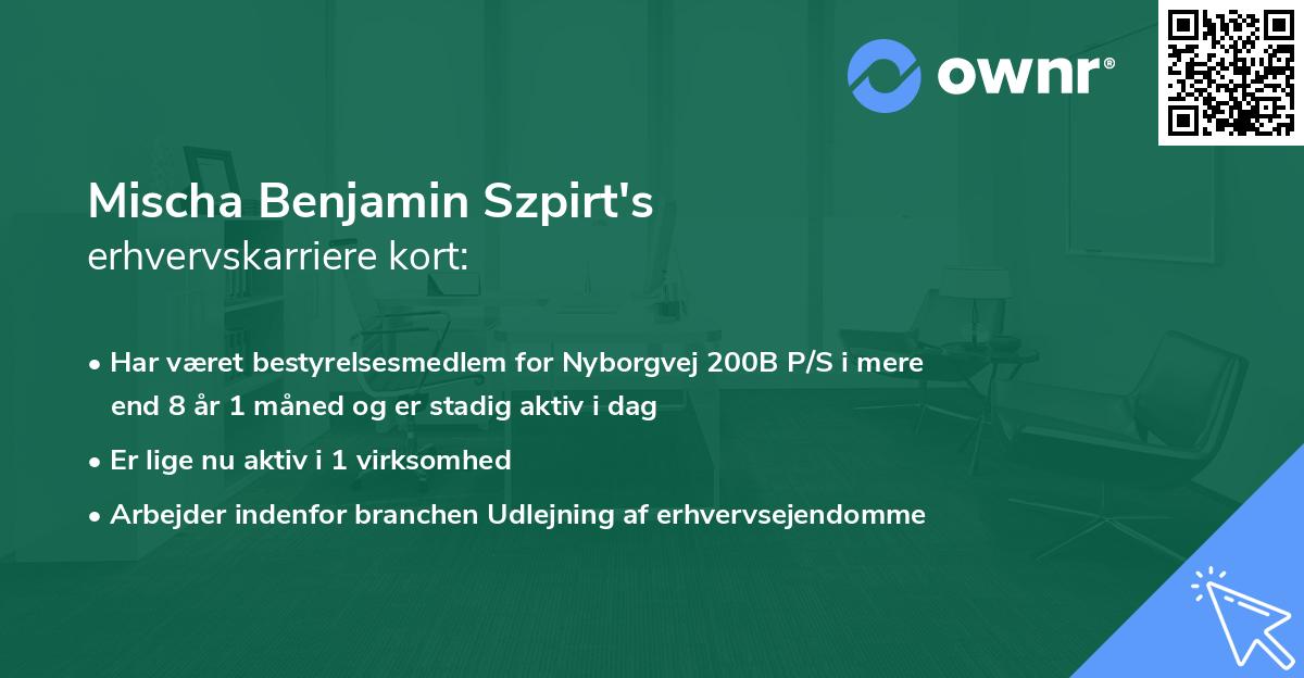 Mischa Benjamin Szpirt's erhvervskarriere kort