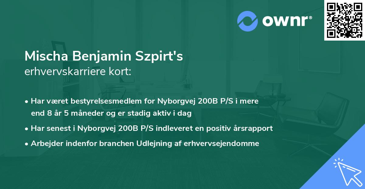Mischa Benjamin Szpirt's erhvervskarriere kort