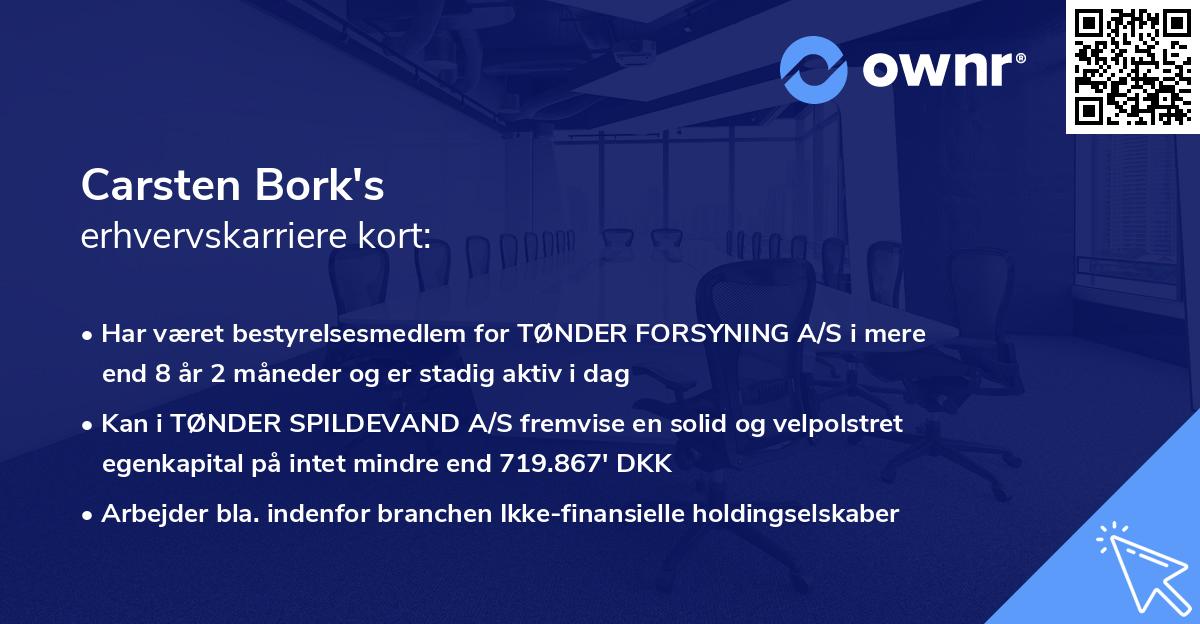 Carsten Bork's erhvervskarriere kort
