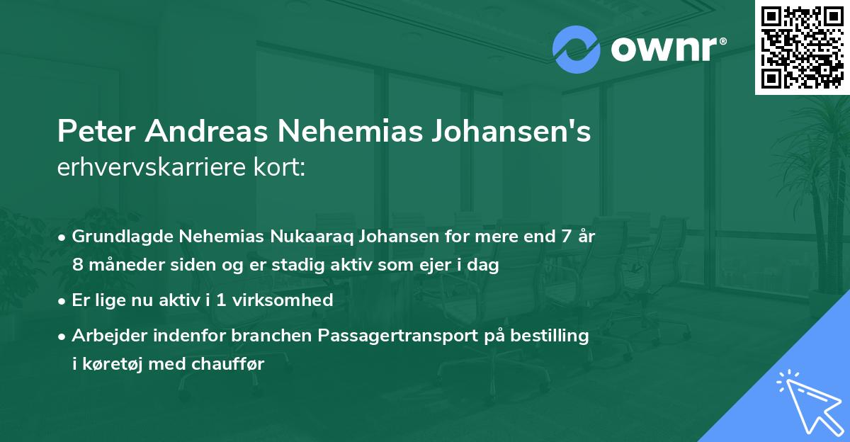 Peter Andreas Nehemias Johansen's erhvervskarriere kort