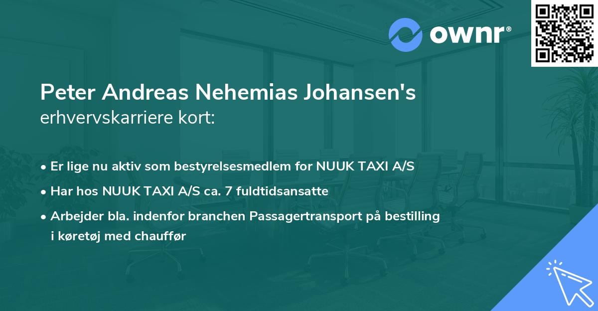 Peter Andreas Nehemias Johansen's erhvervskarriere kort