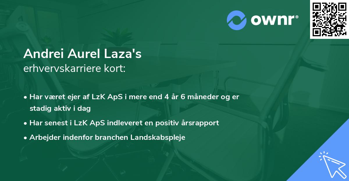 Andrei Aurel Laza's erhvervskarriere kort