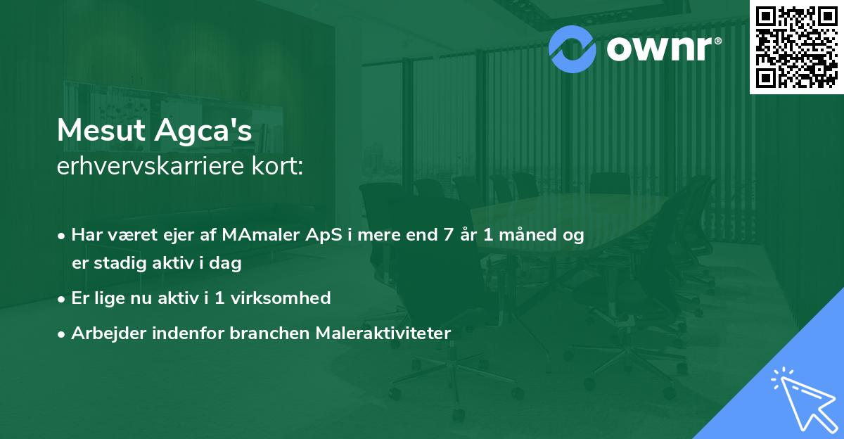 Mesut Agca's erhvervskarriere kort