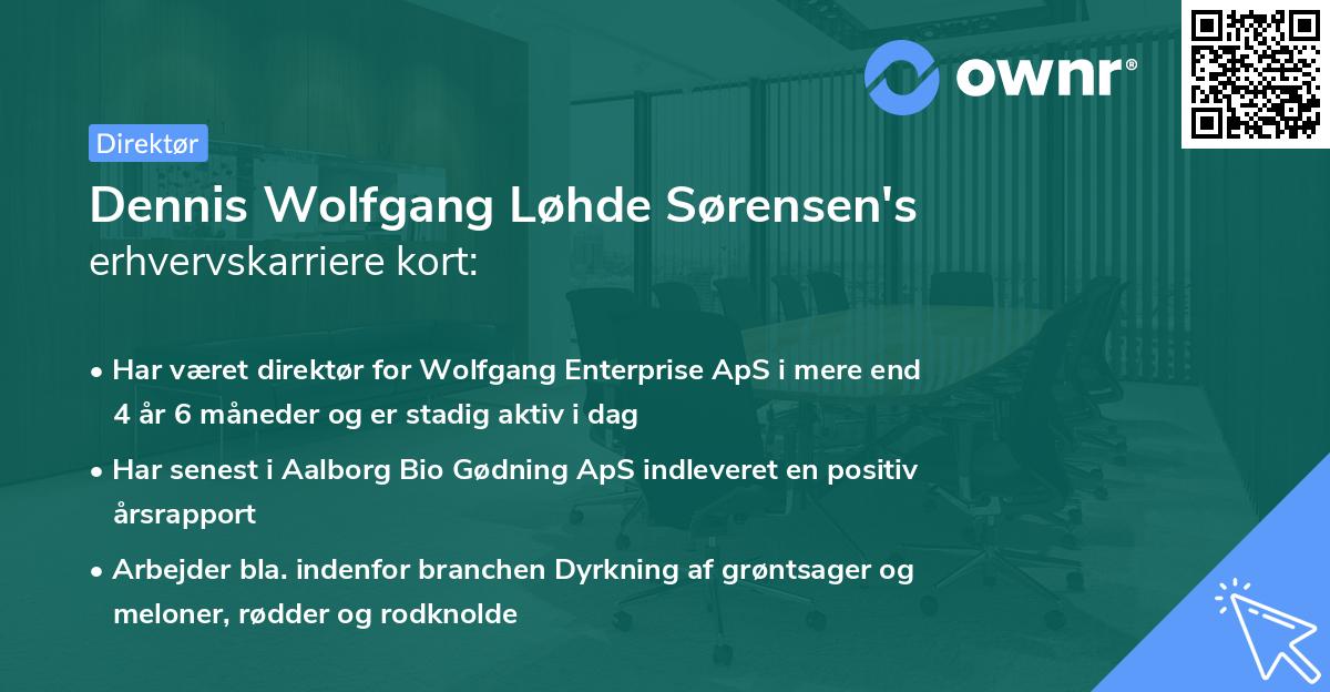 Dennis Wolfgang Løhde Sørensen's erhvervskarriere kort