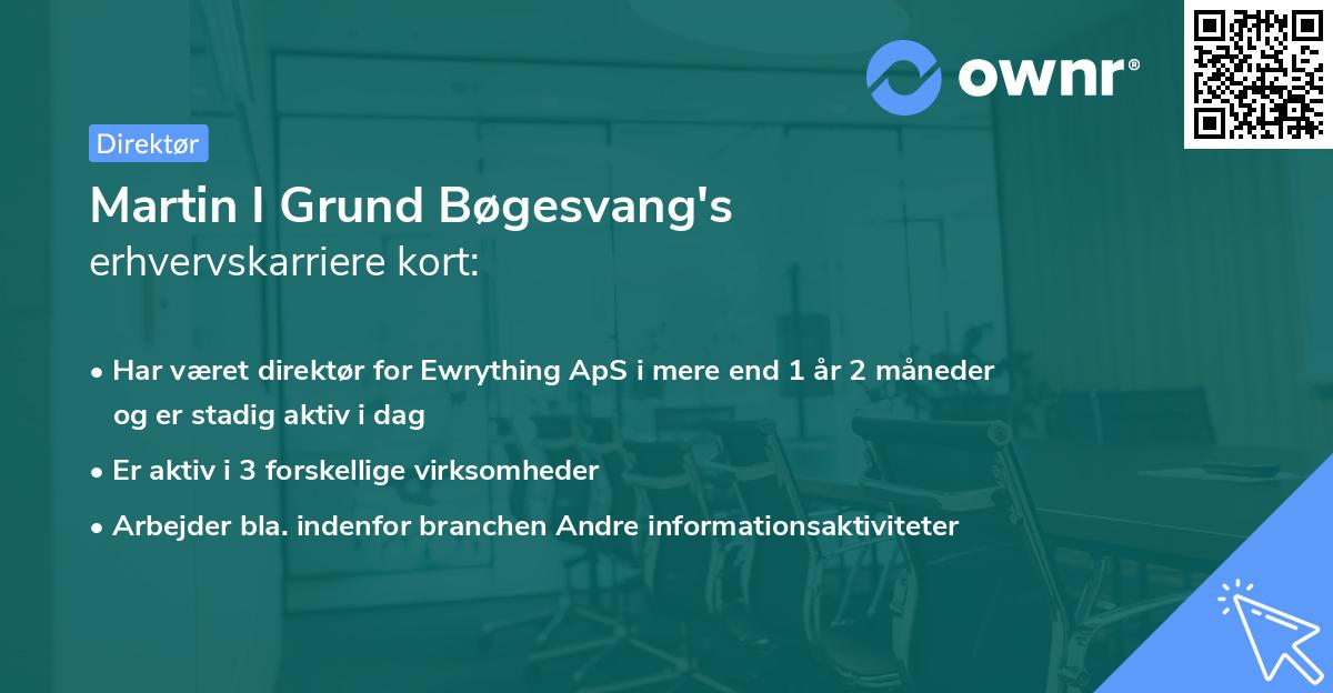 Martin I Grund Bøgesvang's erhvervskarriere kort