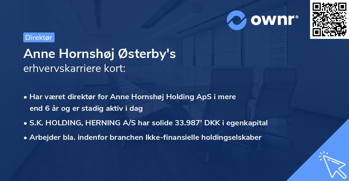 Anne Hornshøj Østerby's erhvervskarriere kort