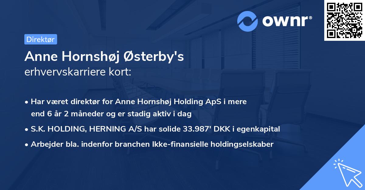 Anne Hornshøj Østerby's erhvervskarriere kort