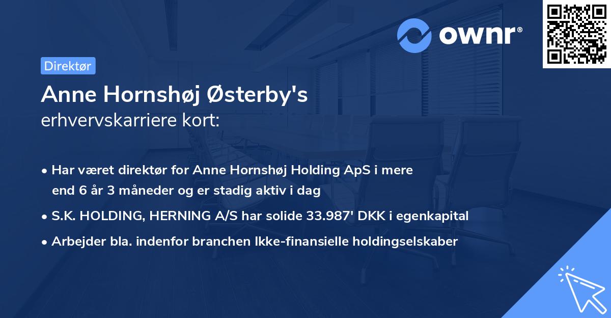 Anne Hornshøj Østerby's erhvervskarriere kort