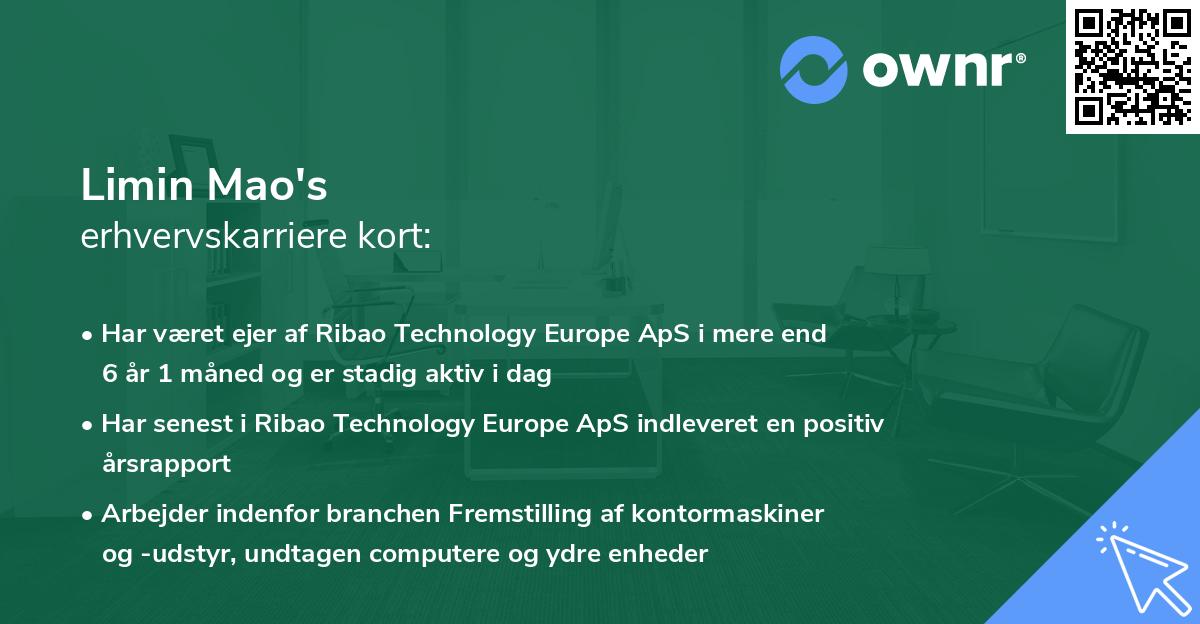 Limin Mao's erhvervskarriere kort