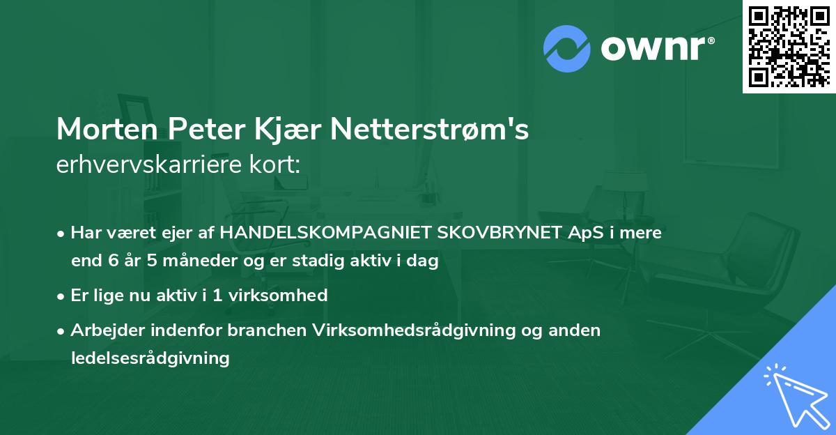 Morten Peter Kjær Netterstrøm's erhvervskarriere kort