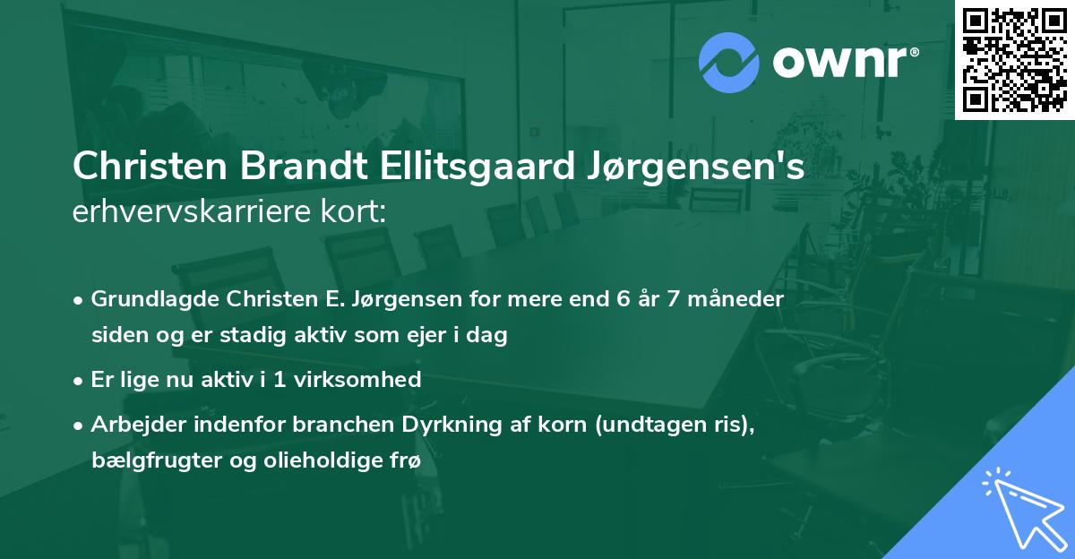 Christen Brandt Ellitsgaard Jørgensen's erhvervskarriere kort